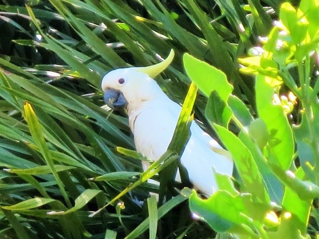 ボクもご飯6 - コピー