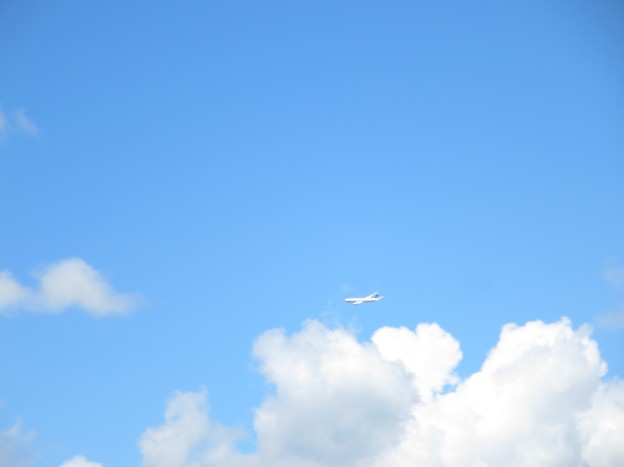 羽ばたけ大空へ